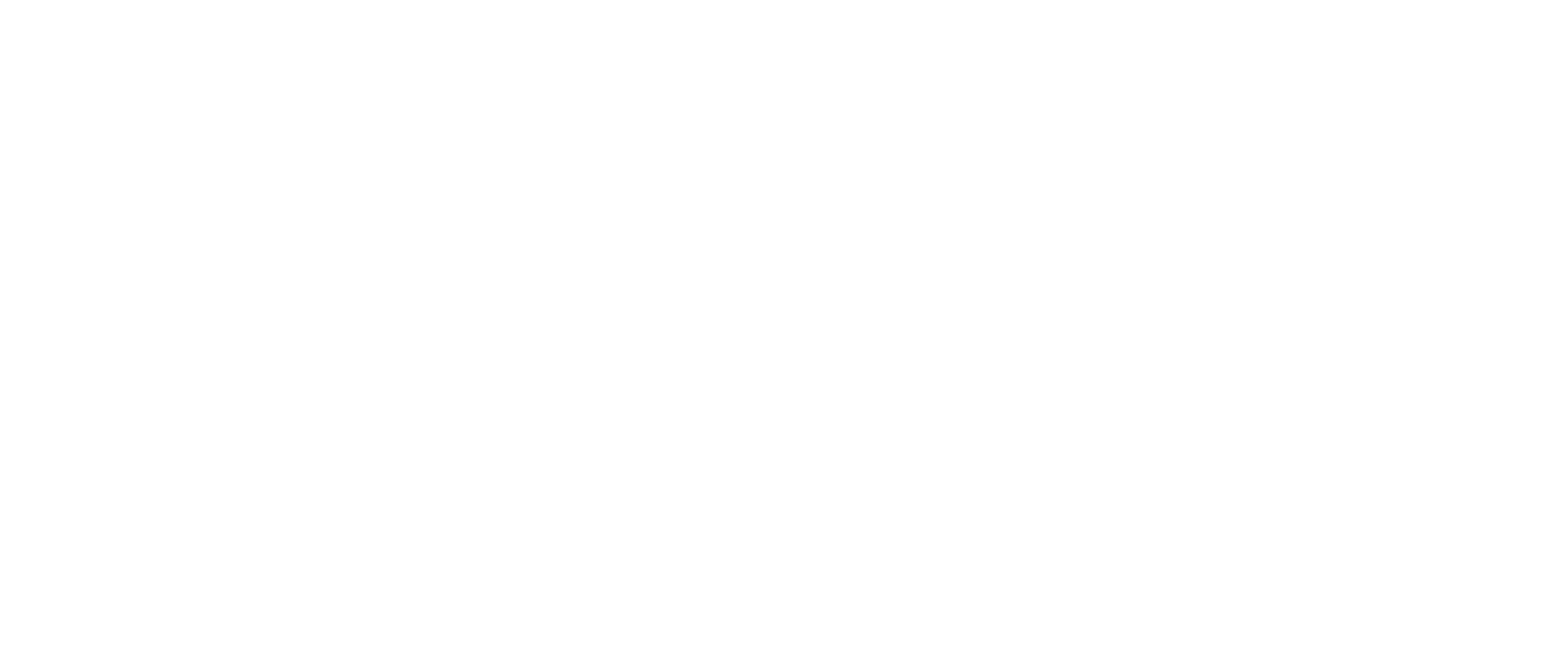 INSCORP - Parent Company of INSBANK